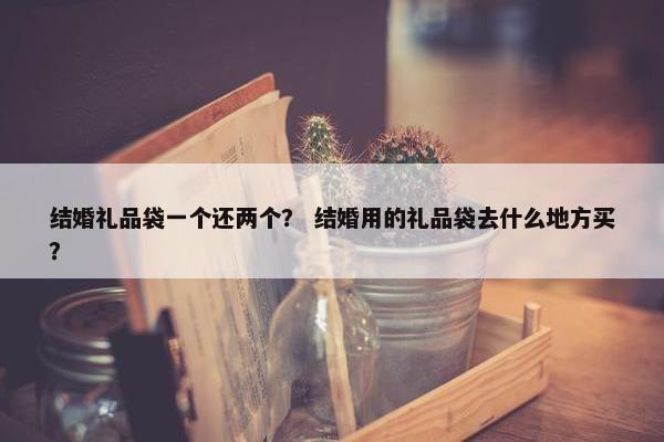 结婚礼品袋一个还两个？ 结婚用的礼品袋去什么地方买？
