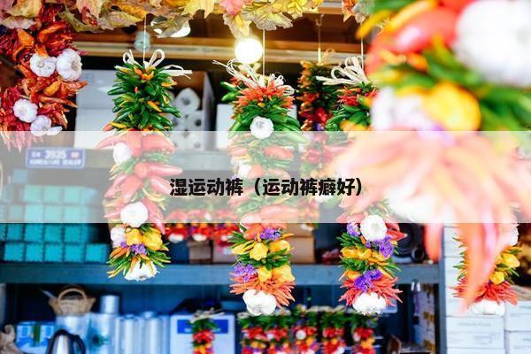 湿运动裤（运动裤癖好）