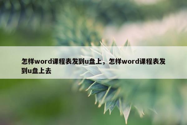 怎样word课程表发到u盘上，怎样word课程表发到u盘上去