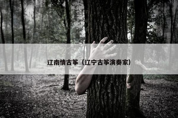 辽南情古筝（辽宁古筝演奏家）