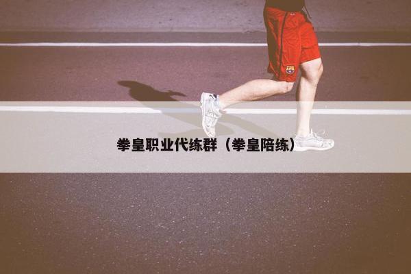 拳皇职业代练群（拳皇陪练）