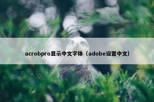 acrobpro显示中文字体（adobe设置中文）