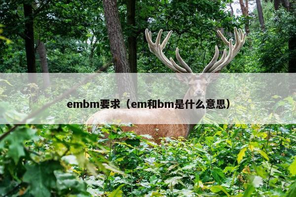 embm要求（em和bm是什么意思）