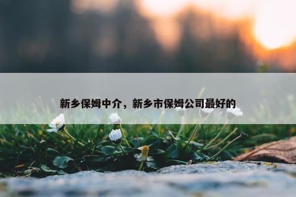 新乡保姆中介，新乡市保姆公司最好的