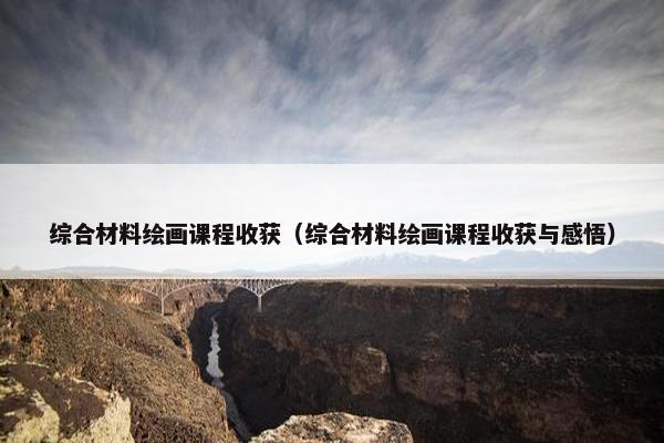 综合材料绘画课程收获（综合材料绘画课程收获与感悟）