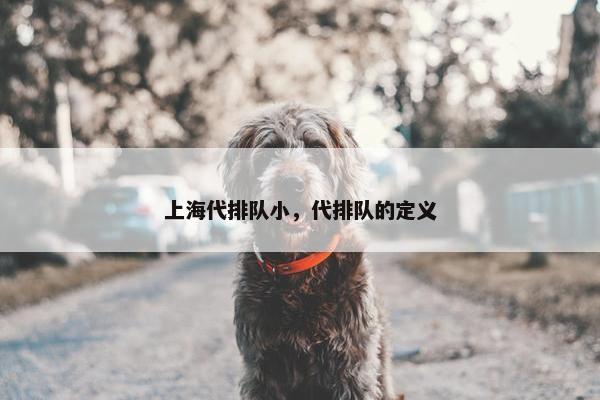 上海代排队小，代排队的定义