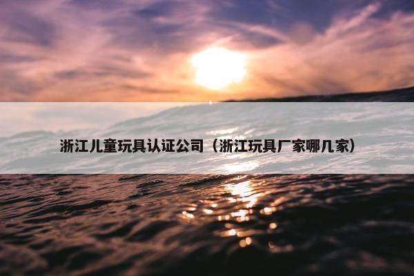 浙江儿童玩具认证公司（浙江玩具厂家哪几家）