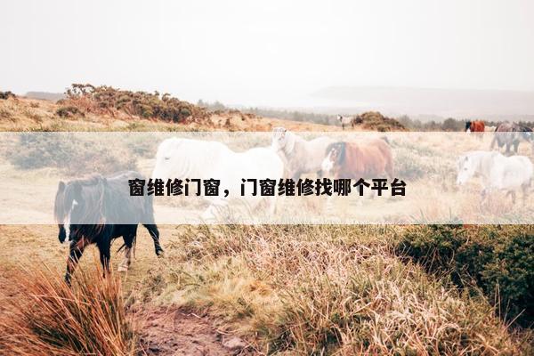 窗维修门窗，门窗维修找哪个平台