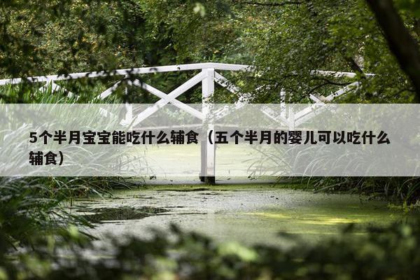5个半月宝宝能吃什么辅食（五个半月的婴儿可以吃什么辅食）