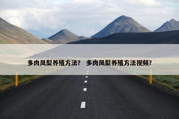 多肉凤梨养殖方法？ 多肉凤梨养殖方法视频？
