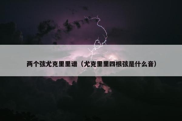 两个弦尤克里里谱（尤克里里四根弦是什么音）