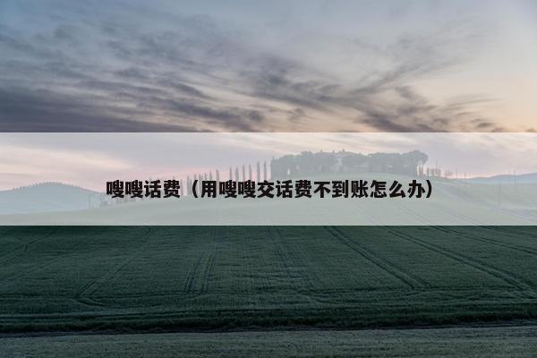 嗖嗖话费（用嗖嗖交话费不到账怎么办）