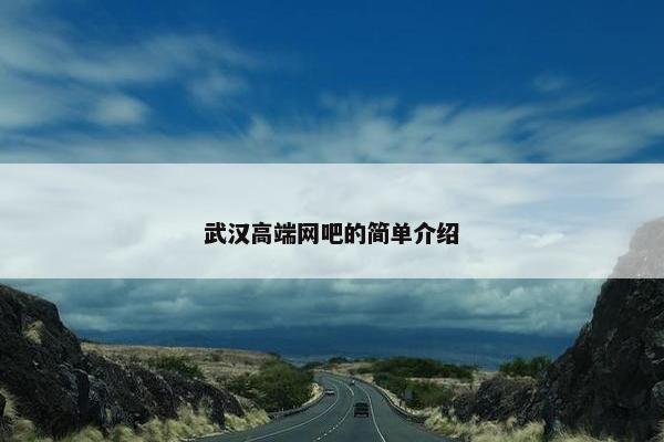 武汉高端网吧的简单介绍