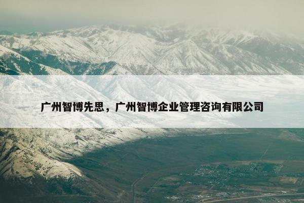 广州智博先思，广州智博企业管理咨询有限公司