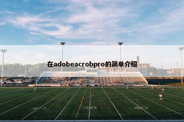 在adobeacrobpro的简单介绍