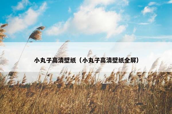 小丸子高清壁纸（小丸子高清壁纸全屏）