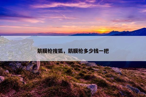 筋膜枪搜狐，筋膜枪多少钱一把