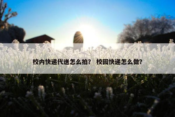 校内快递代送怎么拍？ 校园快递怎么做？