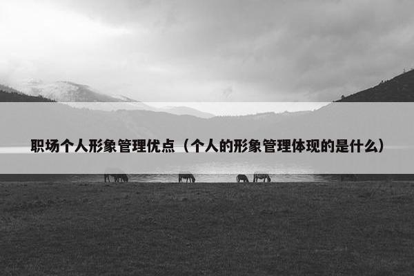 职场个人形象管理优点（个人的形象管理体现的是什么）