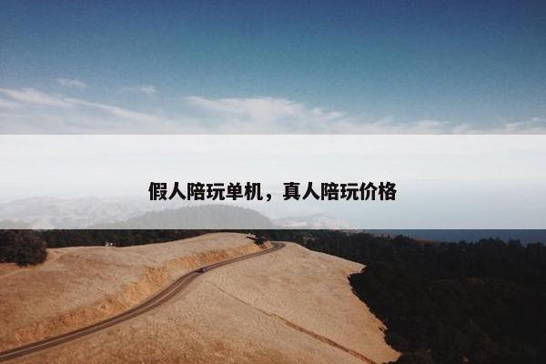 假人陪玩单机，真人陪玩价格