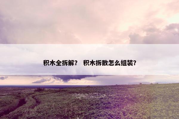 积木全拆解？ 积木拆散怎么组装？
