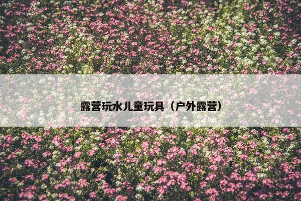 露营玩水儿童玩具（户外露营）