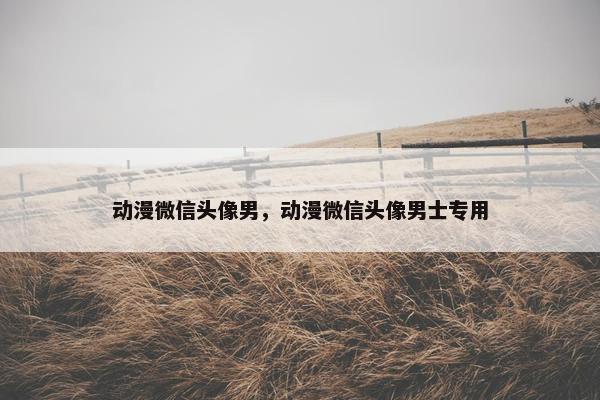 动漫微信头像男，动漫微信头像男士专用
