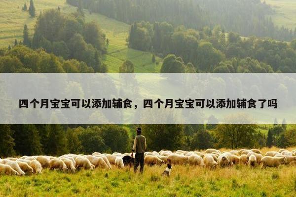 四个月宝宝可以添加辅食，四个月宝宝可以添加辅食了吗