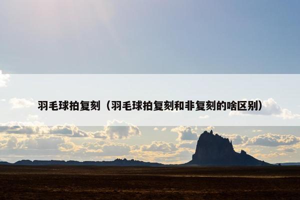 羽毛球拍复刻（羽毛球拍复刻和非复刻的啥区别）