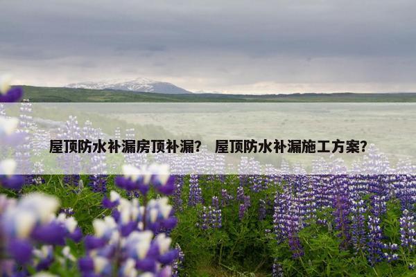 屋顶防水补漏房顶补漏？ 屋顶防水补漏施工方案？