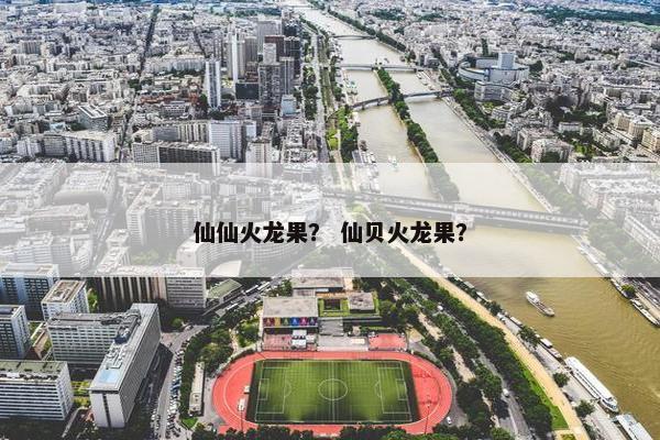 仙仙火龙果？ 仙贝火龙果？