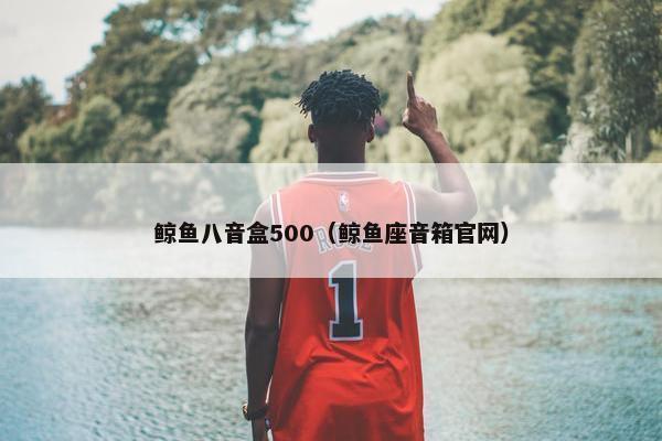 鲸鱼八音盒500（鲸鱼座音箱官网）