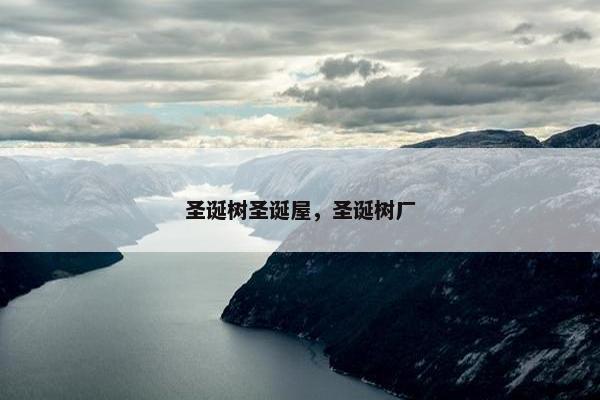 圣诞树圣诞屋，圣诞树厂
