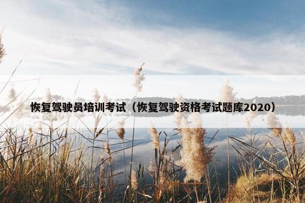 恢复驾驶员培训考试（恢复驾驶资格考试题库2020）