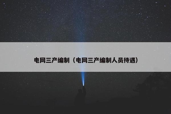 电网三产编制（电网三产编制人员待遇）