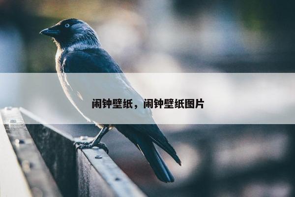 闹钟壁纸，闹钟壁纸图片