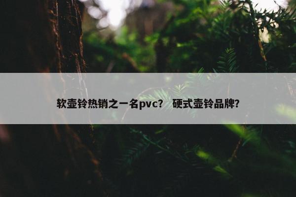 软壶铃热销之一名pvc？ 硬式壶铃品牌？