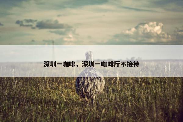 深圳一咖啡，深圳一咖啡厅不接待