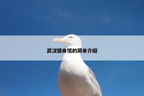武汉健身馆的简单介绍