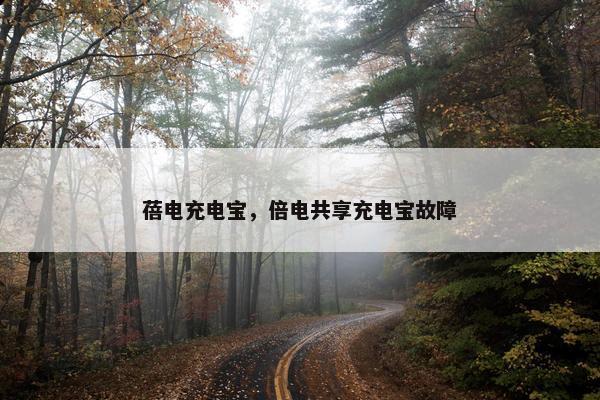 蓓电充电宝，倍电共享充电宝故障