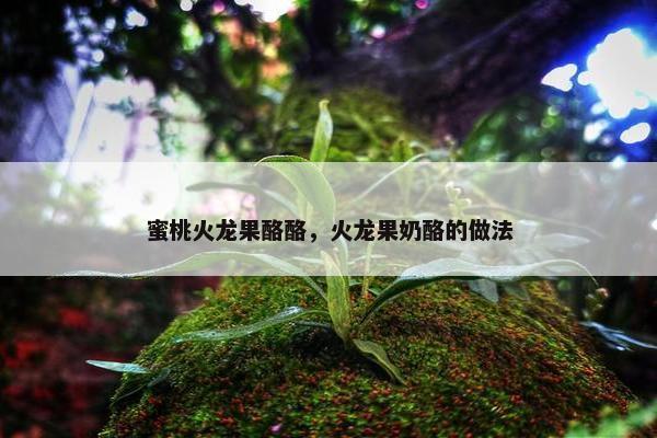 蜜桃火龙果酪酪，火龙果奶酪的做法