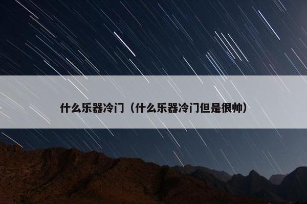 什么乐器冷门（什么乐器冷门但是很帅）