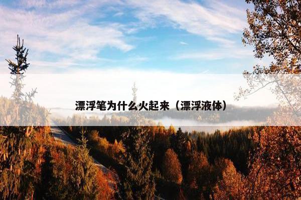 漂浮笔为什么火起来（漂浮液体）