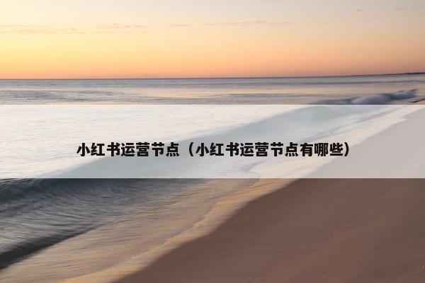 小红书运营节点（小红书运营节点有哪些）