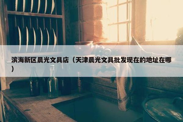 滨海新区晨光文具店（天津晨光文具批发现在的地址在哪）