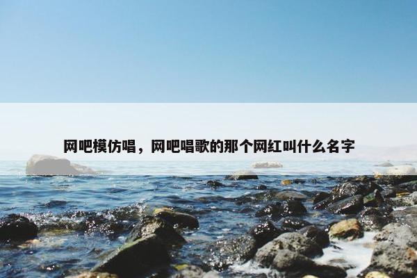 网吧模仿唱，网吧唱歌的那个网红叫什么名字