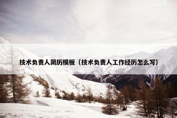 技术负责人简历模板（技术负责人工作经历怎么写）