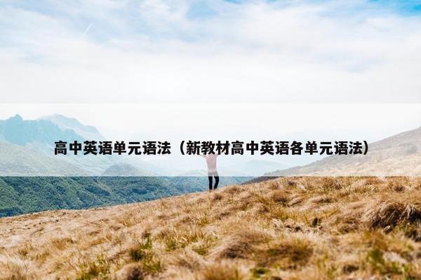 高中英语单元语法（新教材高中英语各单元语法）