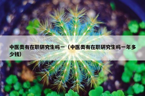 中医类有在职研究生吗一（中医类有在职研究生吗一年多少钱）
