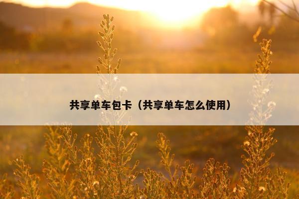 共享单车包卡（共享单车怎么使用）
